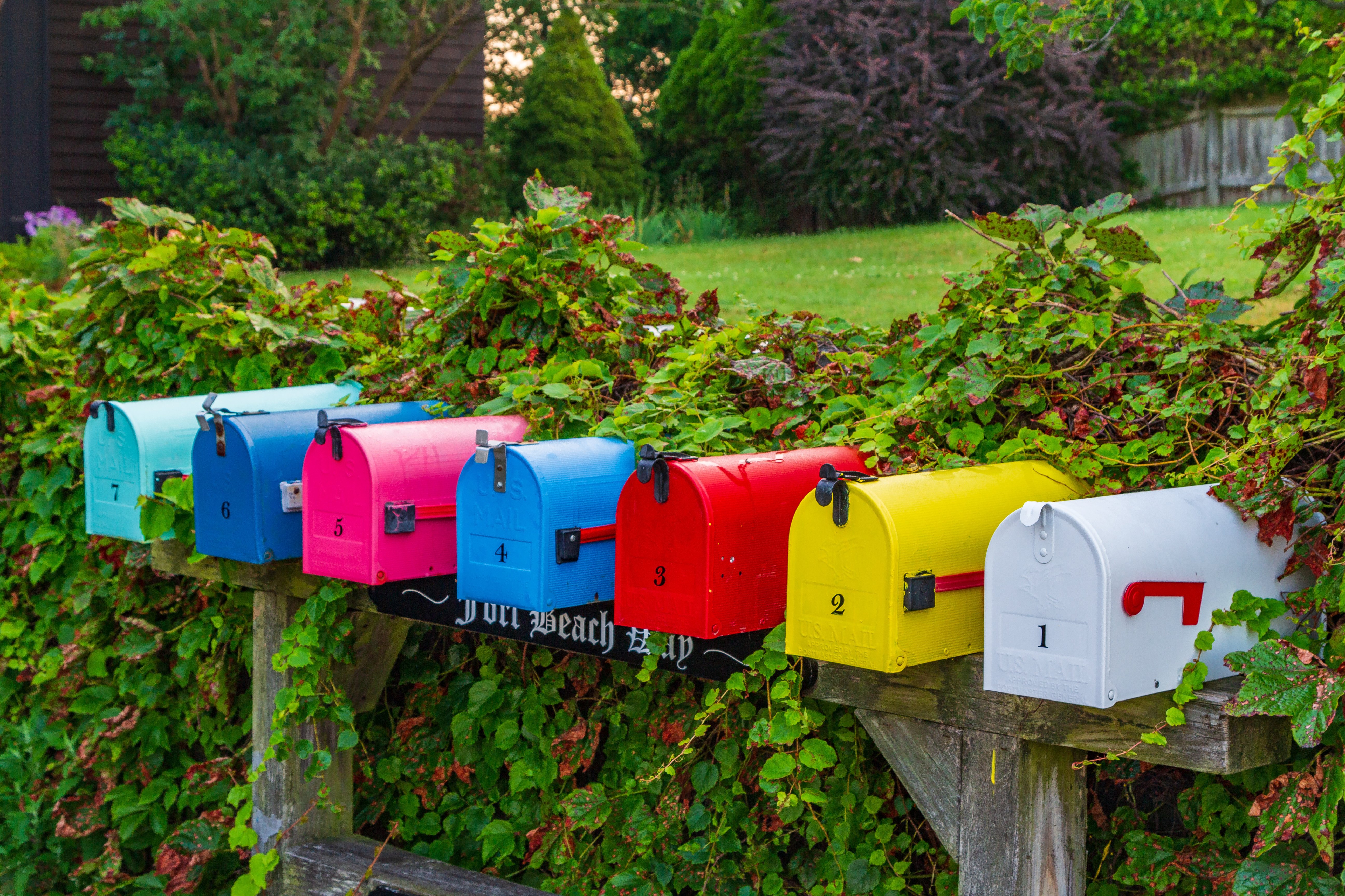 Sull Graphics Mail