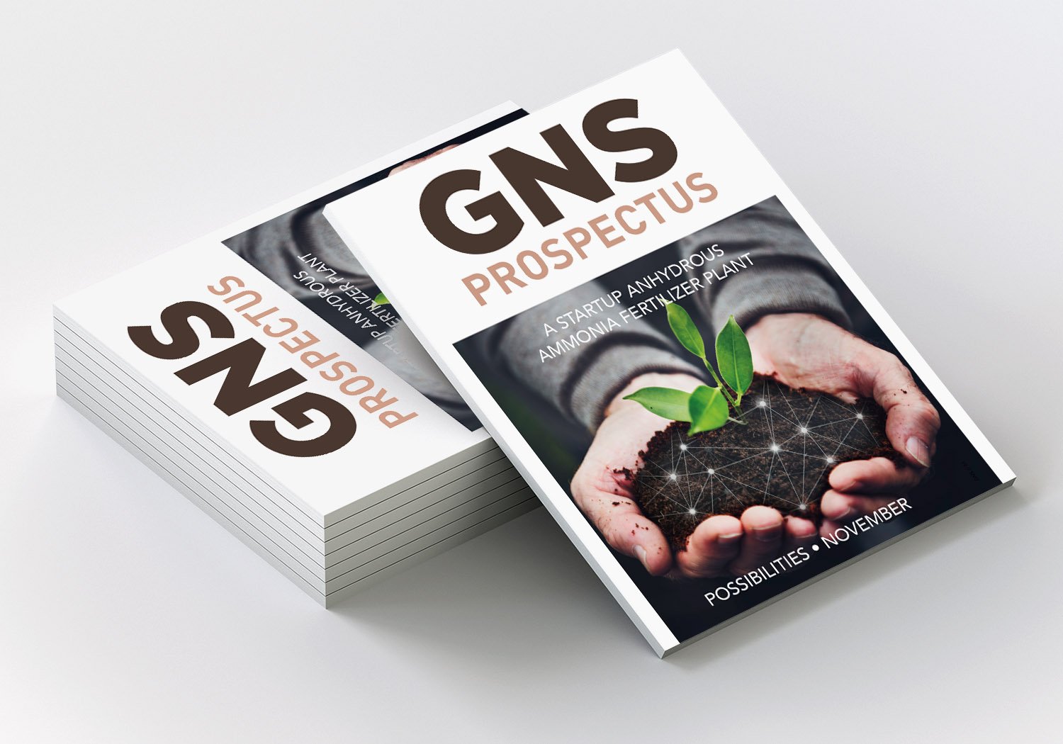 GNS1