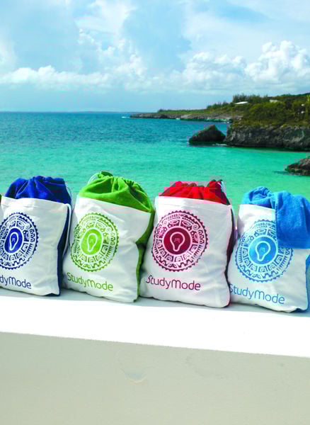 0000258_stowaway-tote-n-towel_600